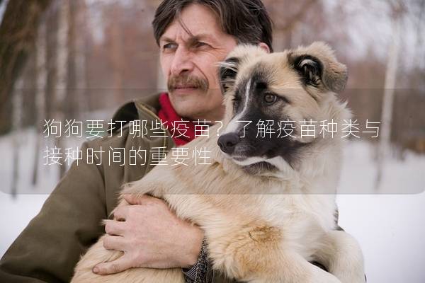 狗狗要打哪些疫苗?了解疫苗种类与接种时间的重要性 狗狗要打哪些疫苗?了解疫苗种类与接种时间的重要性