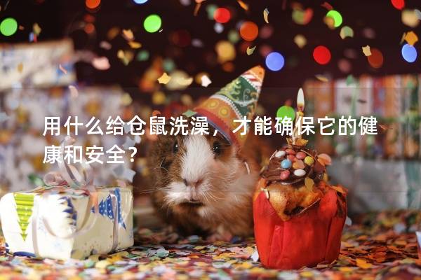 用什么给仓鼠洗澡，才能确保它的健康和安全？