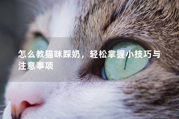 怎么教猫咪踩奶，轻松掌握小技巧与注意事项
