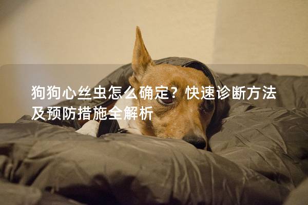 狗狗心丝虫怎么确定？快速诊断方法及预防措施全解析