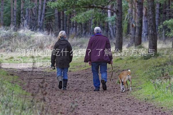狗狗便血吃什么药？了解治疗方案与注意事项
