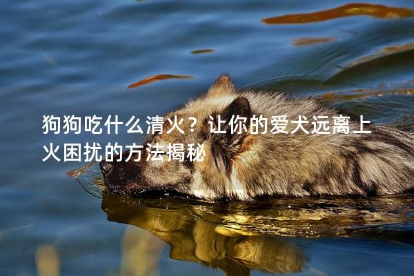 狗狗吃什么清火？让你的爱犬远离上火困扰的方法揭秘