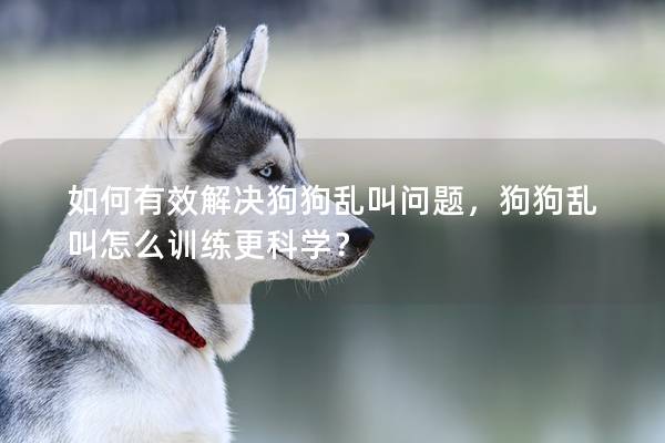 如何有效解决狗狗乱叫问题，狗狗乱叫怎么训练更科学？