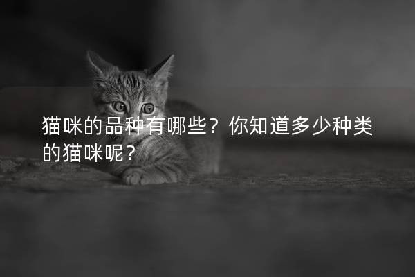 猫咪的品种有哪些?你知道多少种类的猫咪呢? 猫咪的品种有哪些?你知道多少种类的猫咪呢?
