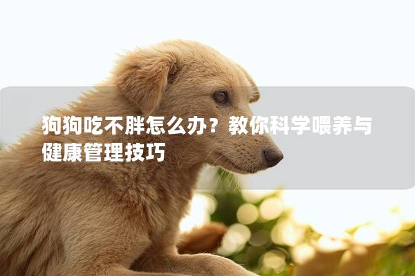 狗狗吃不胖怎么办？教你科学喂养与健康管理技巧