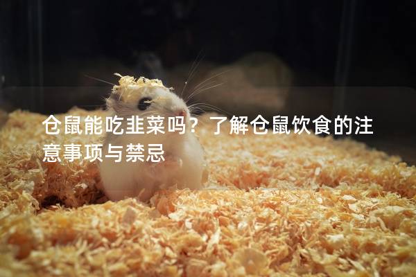 仓鼠能吃韭菜吗？了解仓鼠饮食的注意事项与禁忌