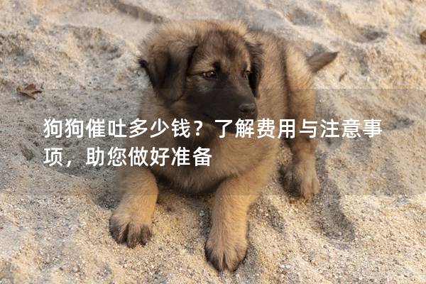 狗狗催吐多少钱?了解费用与注意事项,助您做好准备 狗狗催吐多少钱?了解费用与注意事项,助您做好准备