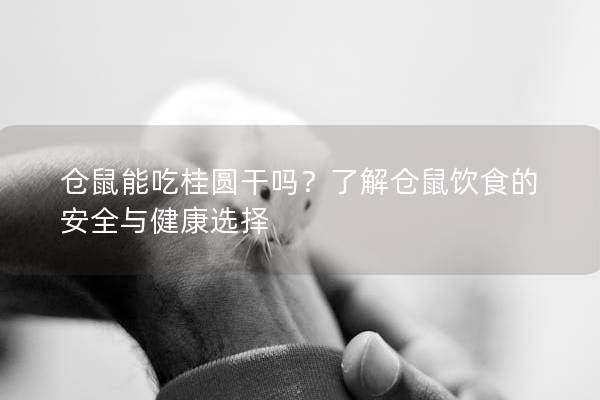 仓鼠能吃桂圆干吗？了解仓鼠饮食的安全与健康选择