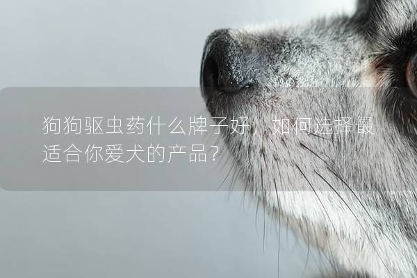 狗狗驱虫药什么牌子好，如何选择最适合你爱犬的产品？
