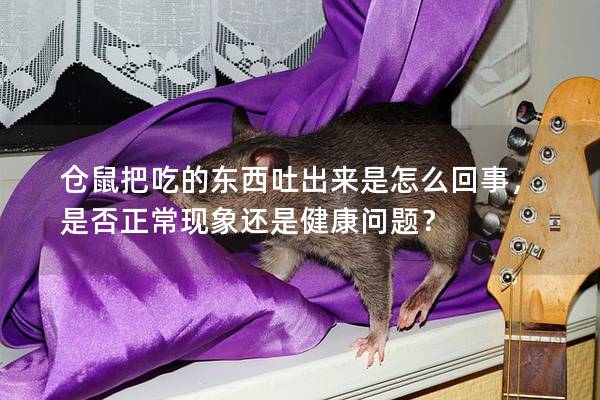 仓鼠把吃的东西吐出来是怎么回事，是否正常现象还是健康问题？