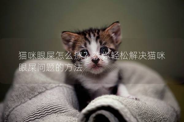 猫咪眼屎怎么擦？教你轻松解决猫咪眼屎问题的方法