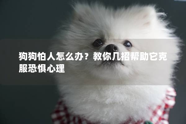狗狗怕人怎么办？教你几招帮助它克服恐惧心理