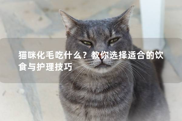 猫咪化毛吃什么？教你选择适合的饮食与护理技巧
