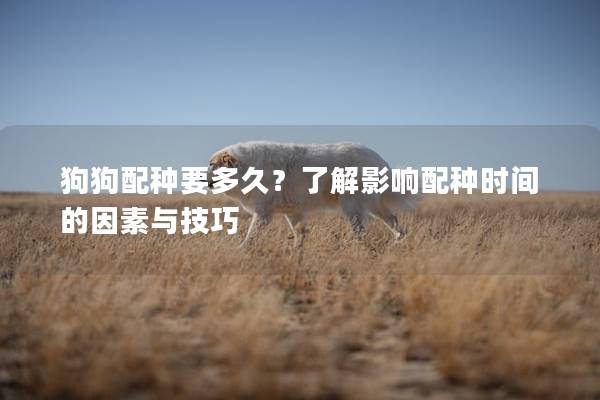 狗狗配种要多久？了解影响配种时间的因素与技巧