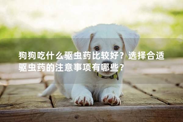 狗狗吃什么驱虫药比较好?选择合适驱虫药的注意事项有哪些? 狗狗吃什么驱虫药比较好?选择合适驱虫药的注意事项有哪些?
