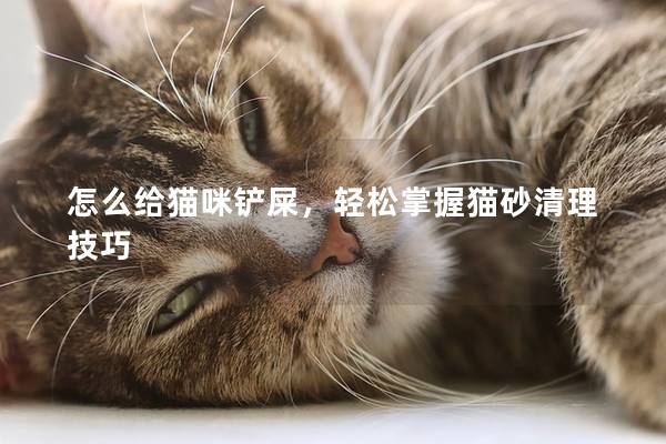 怎么给猫咪铲屎，轻松掌握猫砂清理技巧