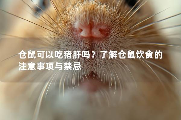 仓鼠可以吃猪肝吗？了解仓鼠饮食的注意事项与禁忌