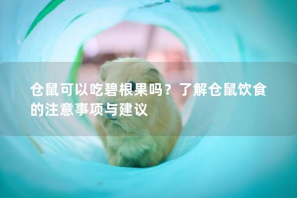 仓鼠可以吃碧根果吗？了解仓鼠饮食的注意事项与建议