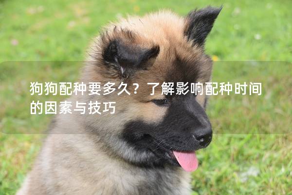 狗狗配种要多久？了解影响配种时间的因素与技巧