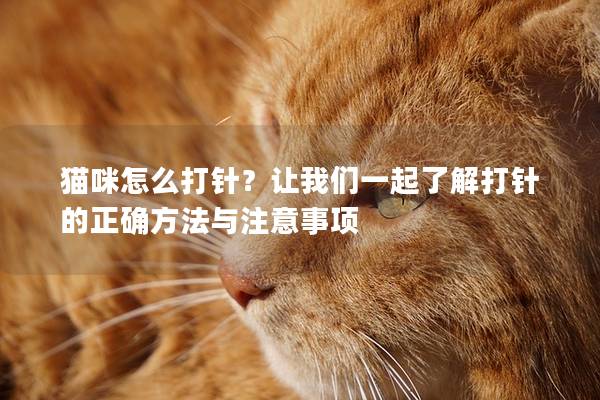 猫咪怎么打针?让我们一起了解打针的正确方法与注意事项 猫咪怎么打针?让我们一起了解打针的正确方法与注意事项