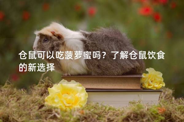 仓鼠可以吃菠萝蜜吗？了解仓鼠饮食的新选择