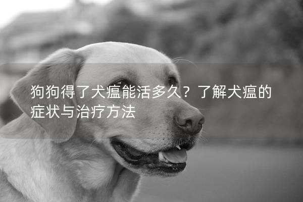 狗狗得了犬瘟能活多久？了解犬瘟的症状与治疗方法