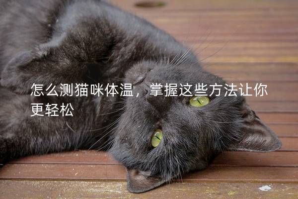 怎么测猫咪体温，掌握这些方法让你更轻松