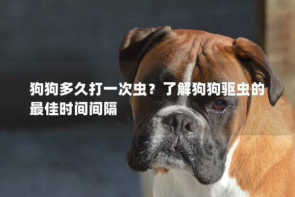 狗狗多久打一次虫？了解狗狗驱虫的最佳时间间隔