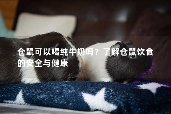 仓鼠可以喝纯牛奶吗?了解仓鼠饮食的安全与健康 仓鼠可以喝纯牛奶吗?了解仓鼠饮食的安全与健康