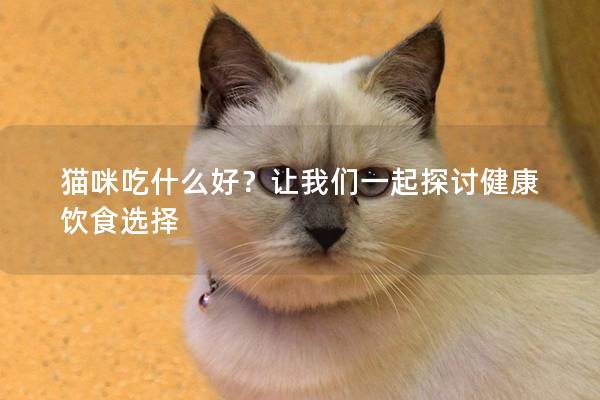 猫咪吃什么好？让我们一起探讨健康饮食选择