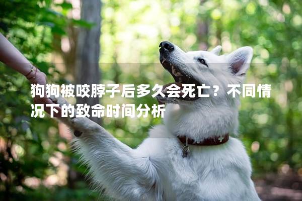 狗狗被咬脖子后多久会死亡？不同情况下的致命时间分析
