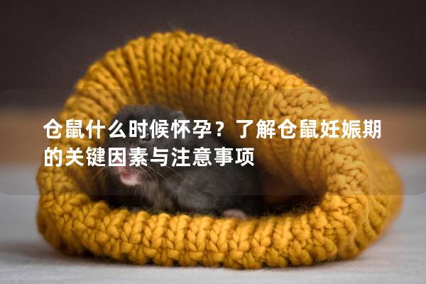 仓鼠什么时候怀孕？了解仓鼠妊娠期的关键因素与注意事项