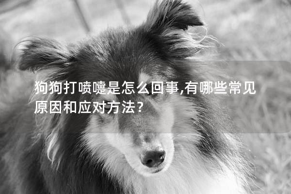 狗狗打喷嚏是怎么回事,有哪些常见原因和应对方法? 狗狗打喷嚏是怎么回事,有哪些常见原因和应对方法?