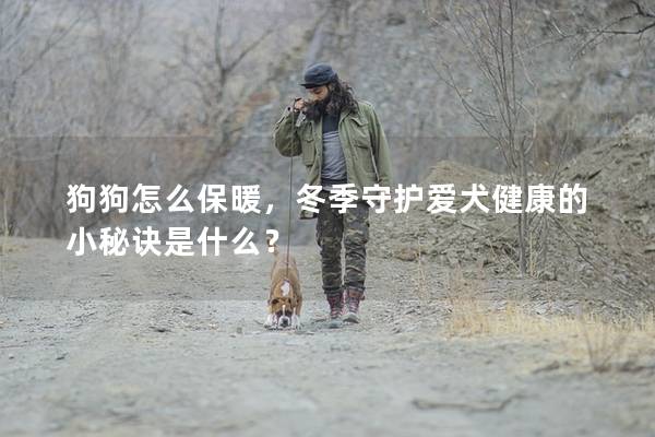 狗狗怎么保暖,冬季守护爱犬健康的小秘诀是什么? 狗狗怎么保暖,冬季守护爱犬健康的小秘诀是什么?