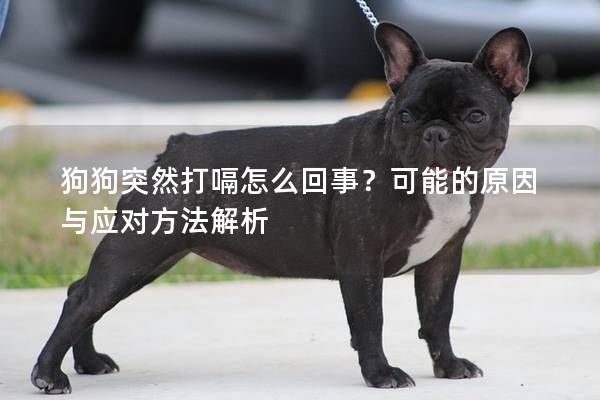 狗狗突然打嗝怎么回事？可能的原因与应对方法解析