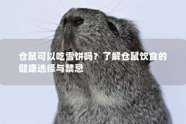 仓鼠可以吃雪饼吗？了解仓鼠饮食的健康选择与禁忌