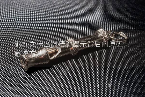 狗狗为什么挠墙？揭示背后的原因与解决方法