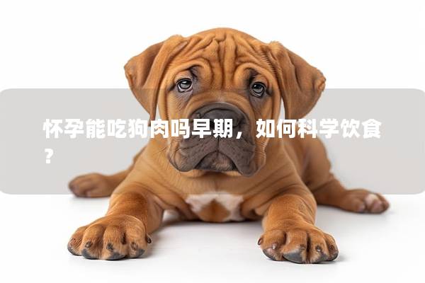 怀孕能吃狗肉吗早期，如何科学饮食？