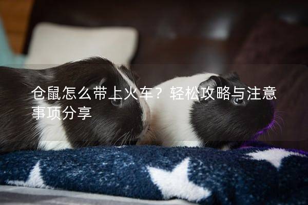 仓鼠怎么带上火车？轻松攻略与注意事项分享