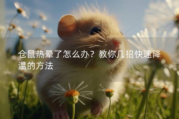 仓鼠热晕了怎么办？教你几招快速降温的方法