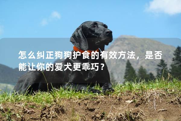 怎么纠正狗狗护食的有效方法，是否能让你的爱犬更乖巧？