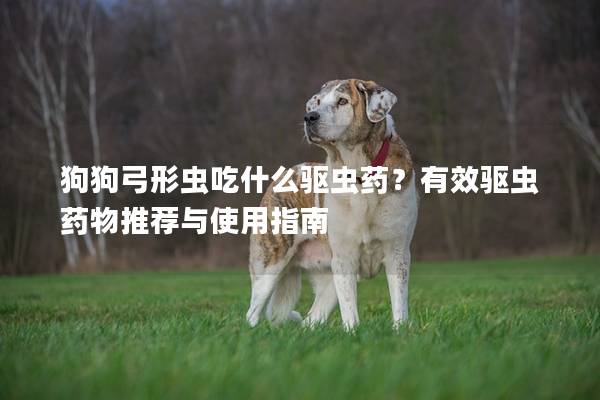 狗狗弓形虫吃什么驱虫药？有效驱虫药物推荐与使用指南