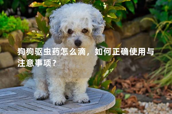 狗狗驱虫药怎么滴，如何正确使用与注意事项？