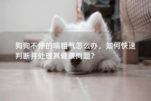 狗狗不停的喘粗气怎么办，如何快速判断并处理其健康问题？