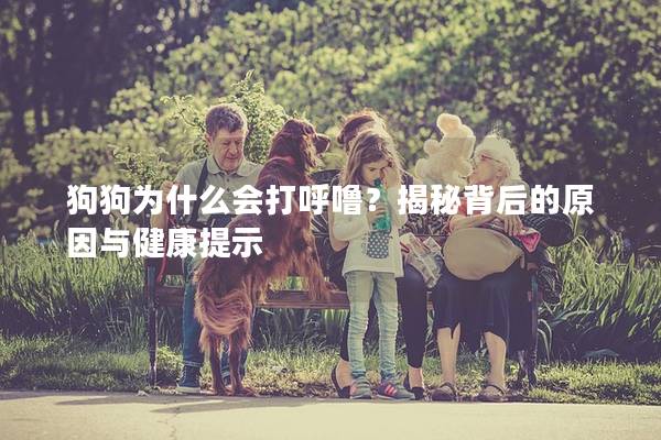 狗狗为什么会打呼噜？揭秘背后的原因与健康提示
