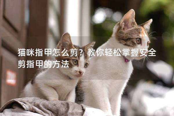 猫咪指甲怎么剪？教你轻松掌握安全剪指甲的方法