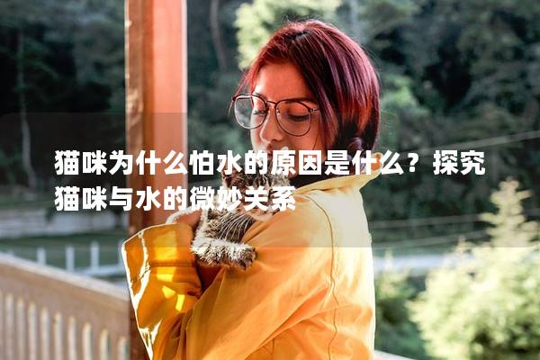 猫咪为什么怕水的原因是什么？探究猫咪与水的微妙关系