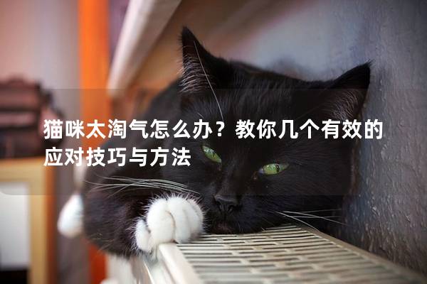 猫咪太淘气怎么办？教你几个有效的应对技巧与方法