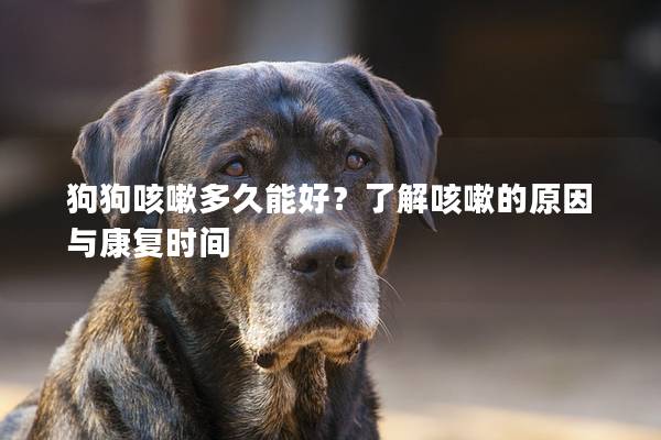 狗狗咳嗽多久能好?了解咳嗽的原因与康复时间 狗狗咳嗽多久能好?了解咳嗽的原因与康复时间