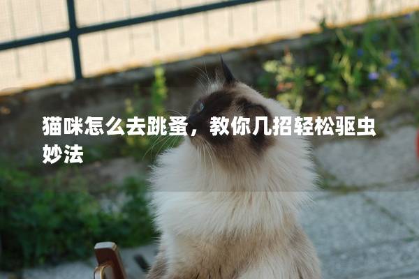 猫咪怎么去跳蚤，教你几招轻松驱虫妙法